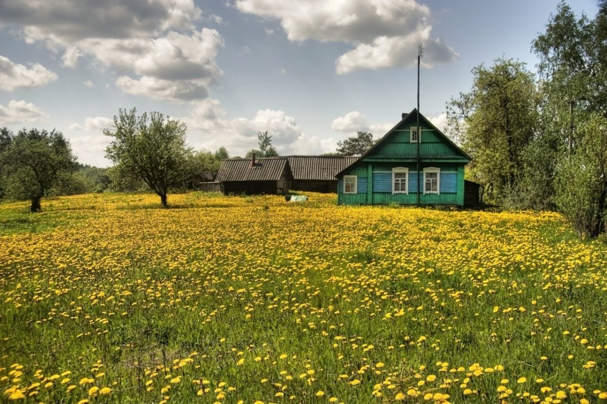 Природа лето деревня