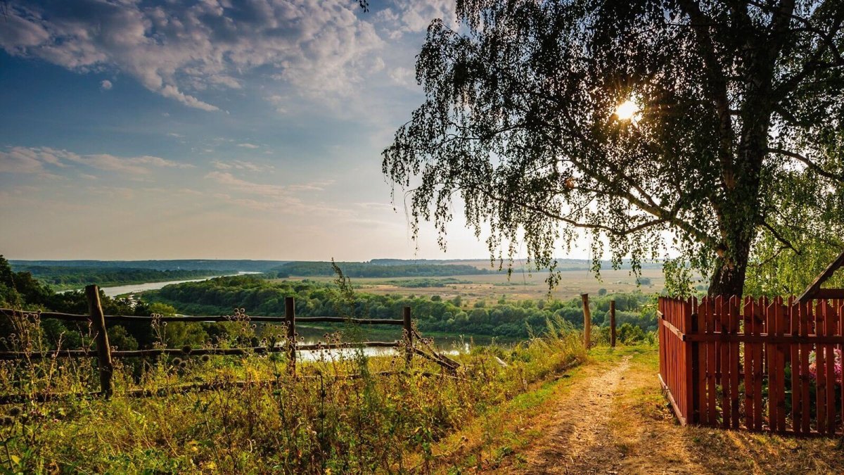 Лето в деревне
