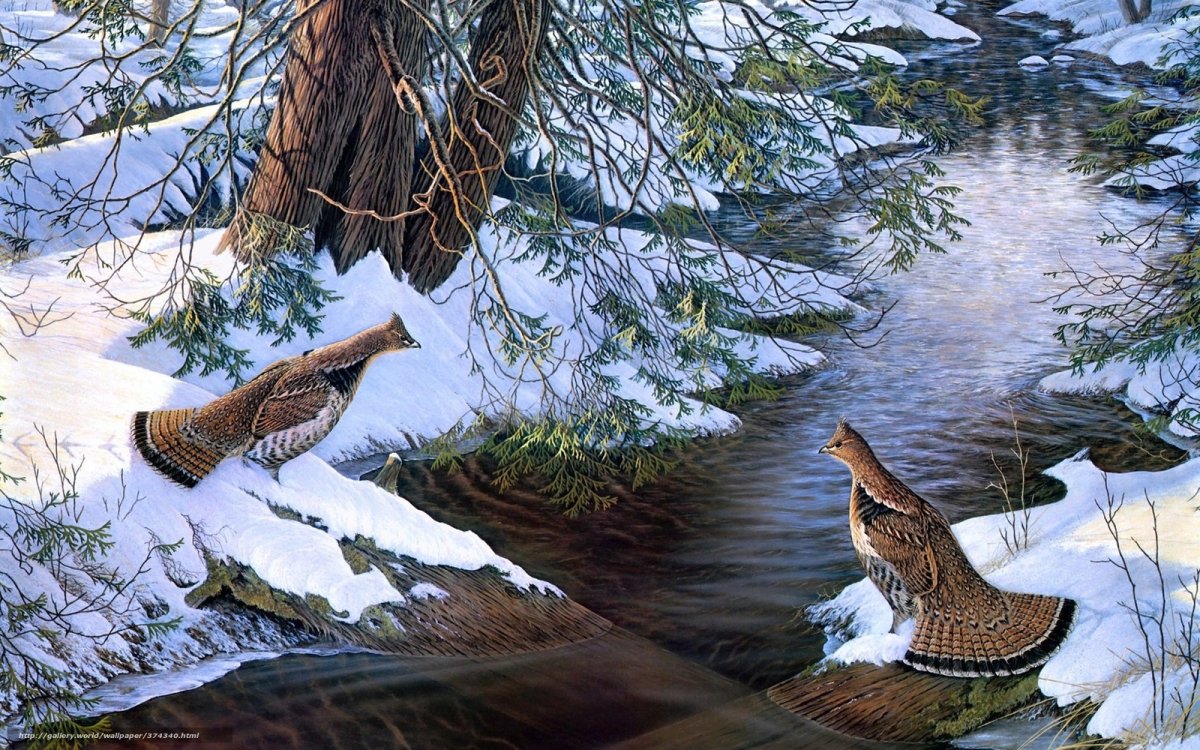 Sam Timm американский художник