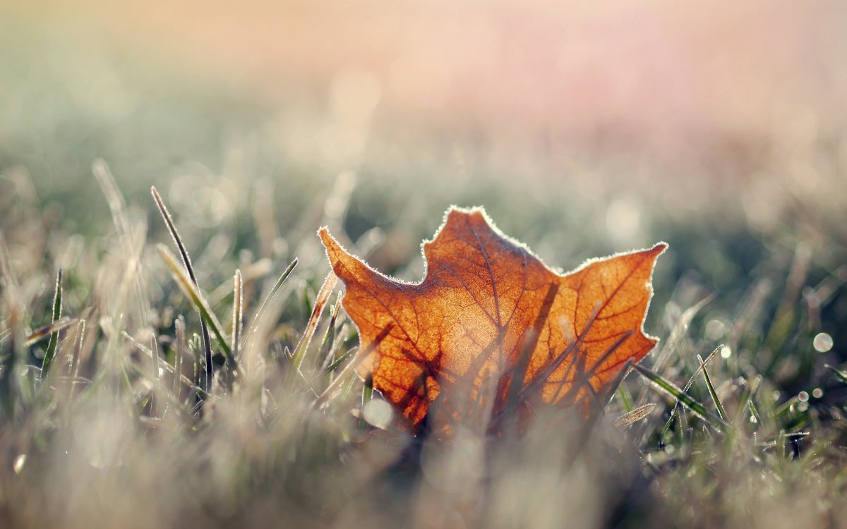 Autumn morning (가을 아침)