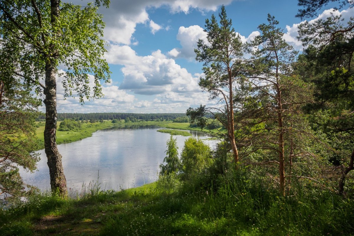 Природа Твери и Тверской области