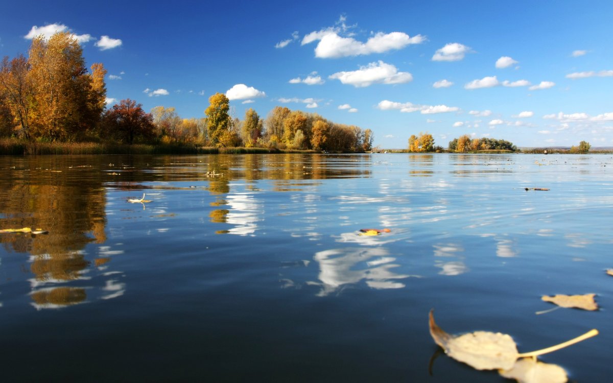 Природа Самара река Самарка