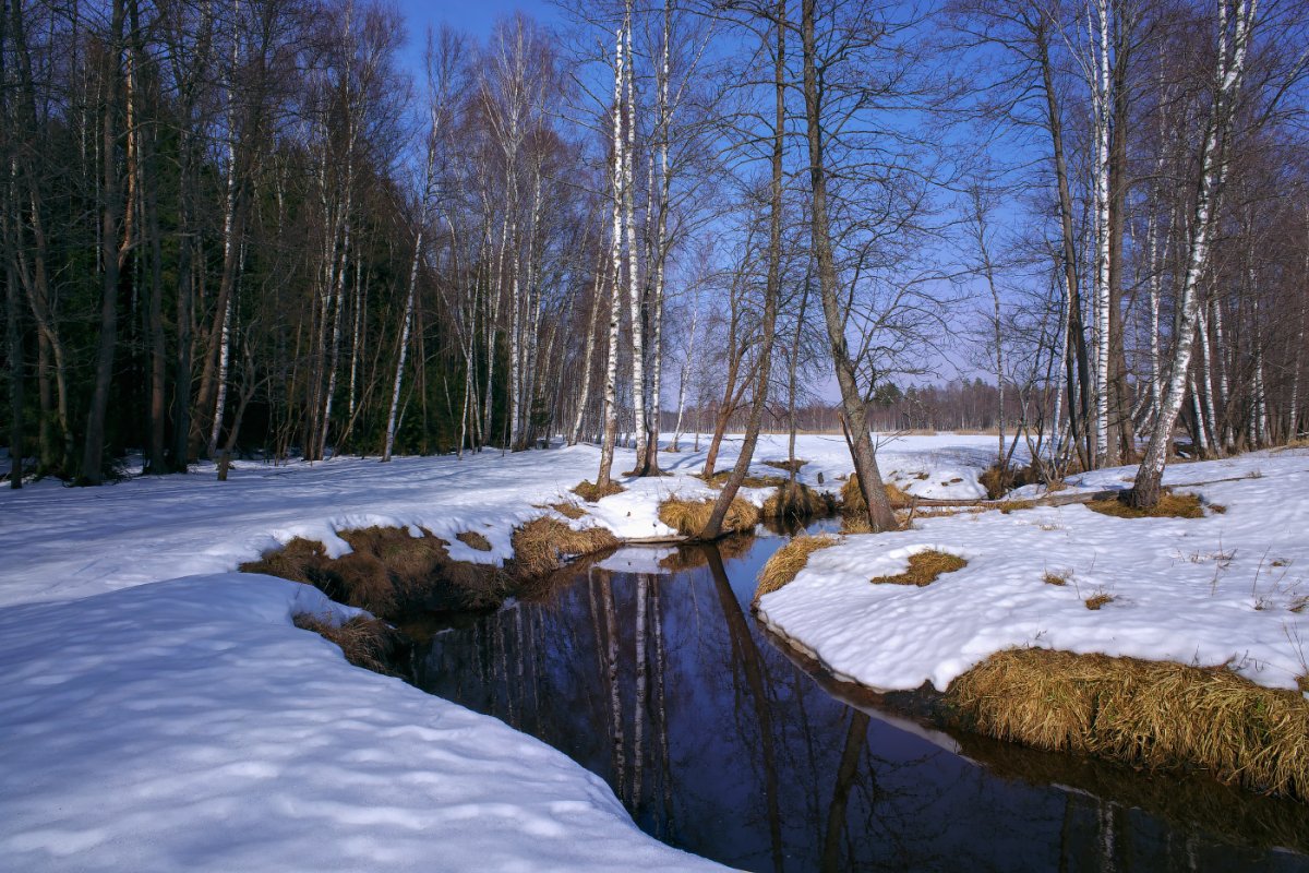 Приход весны