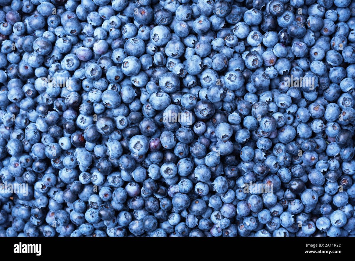 Blueberry texture