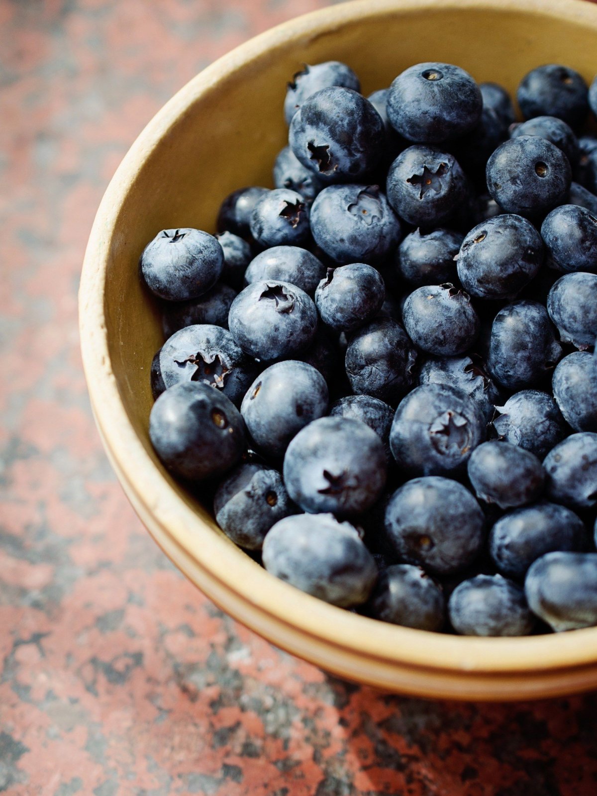 Blueberry Bilberry