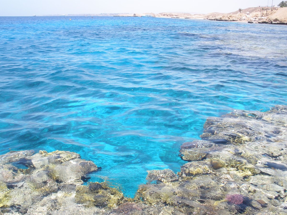 Красное и Средиземное море