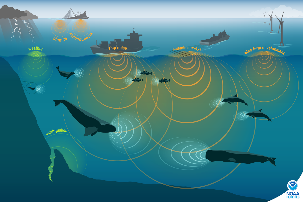 Underwater Noise from the aircraft calculation