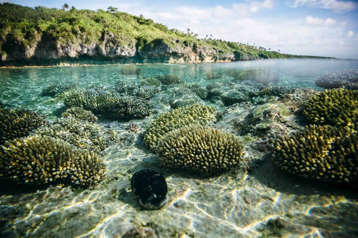 Biodiversity and Landscapes
