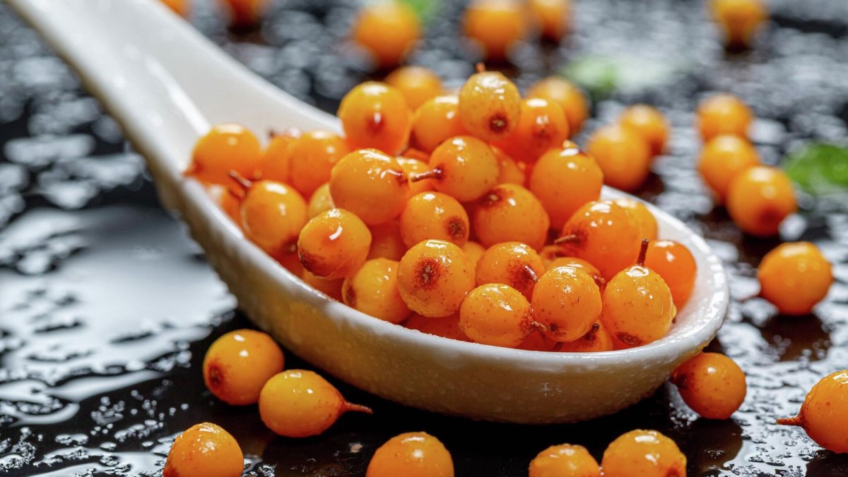 Sea Buckthorn облепиха с апельсином