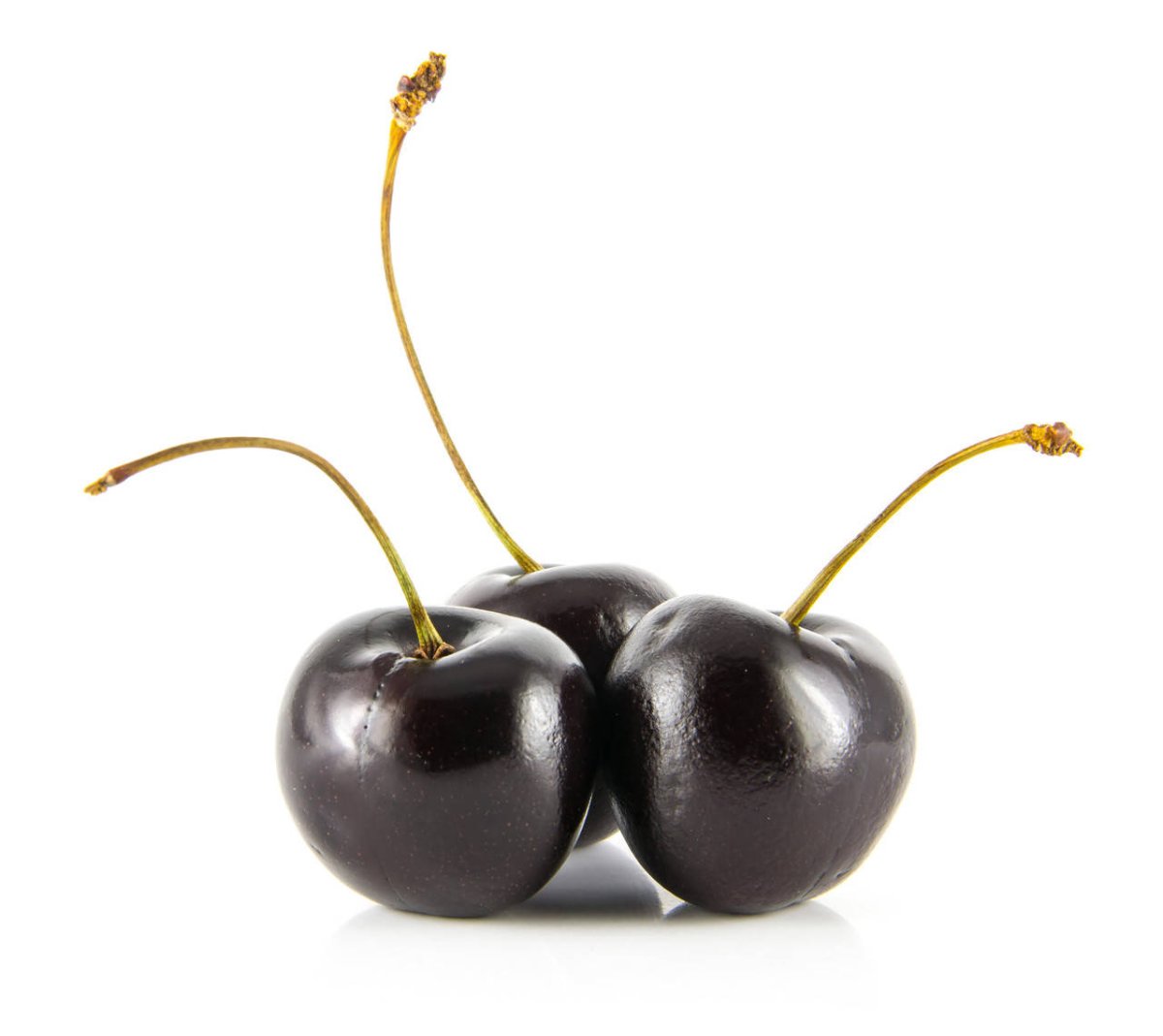Черешня Black Cherry