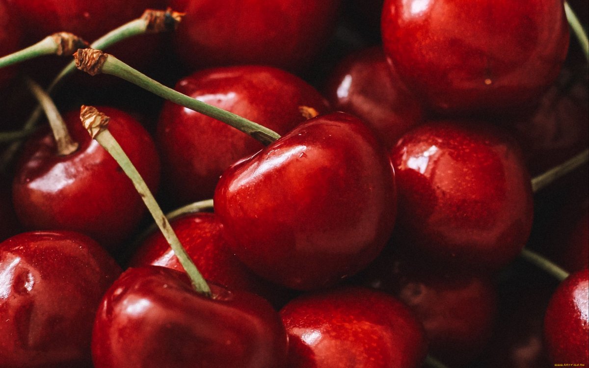 Вишня "Red Cherry"