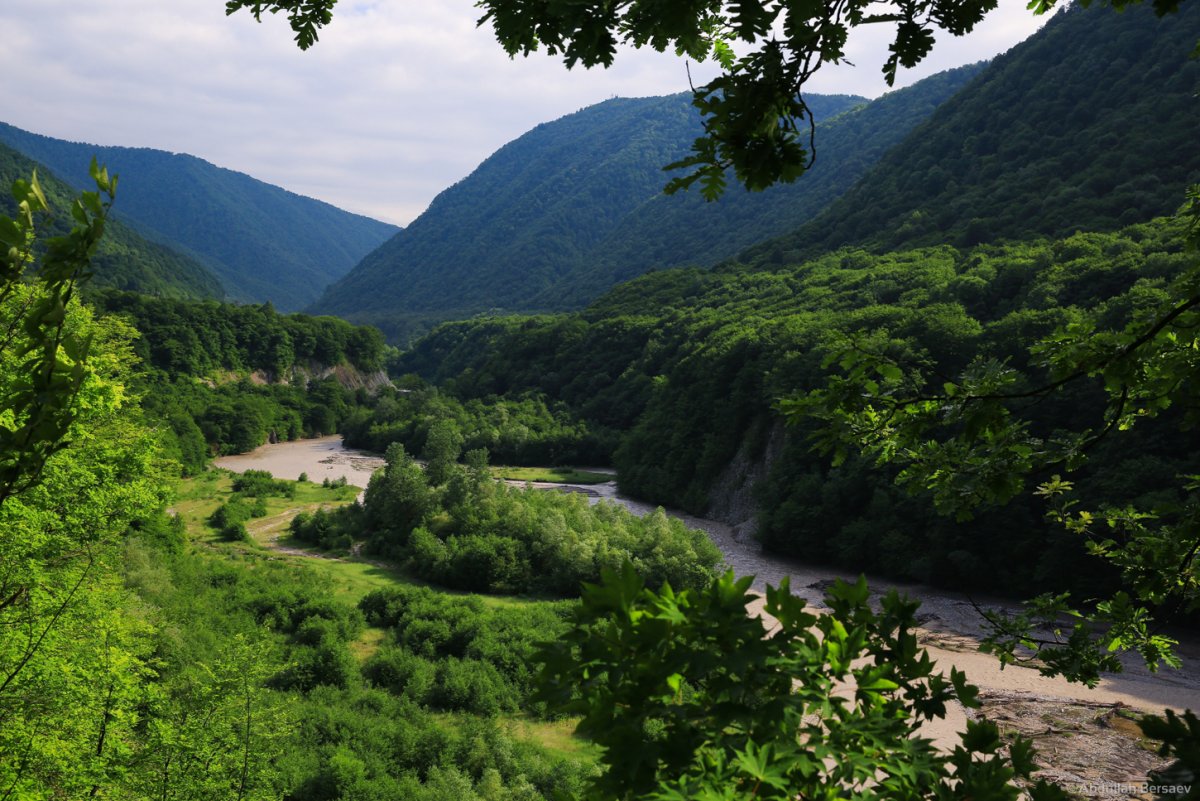 Дуба Юрт Чеченская Республика