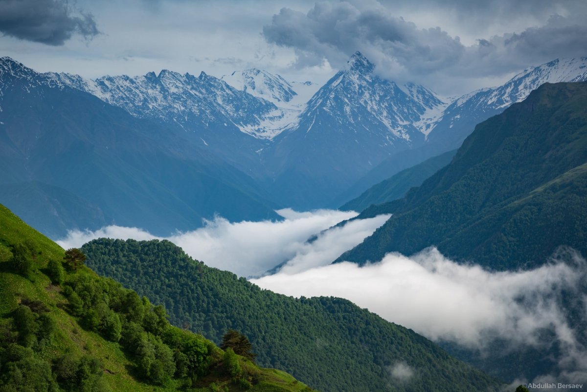 Абдуллах Берсаев фото