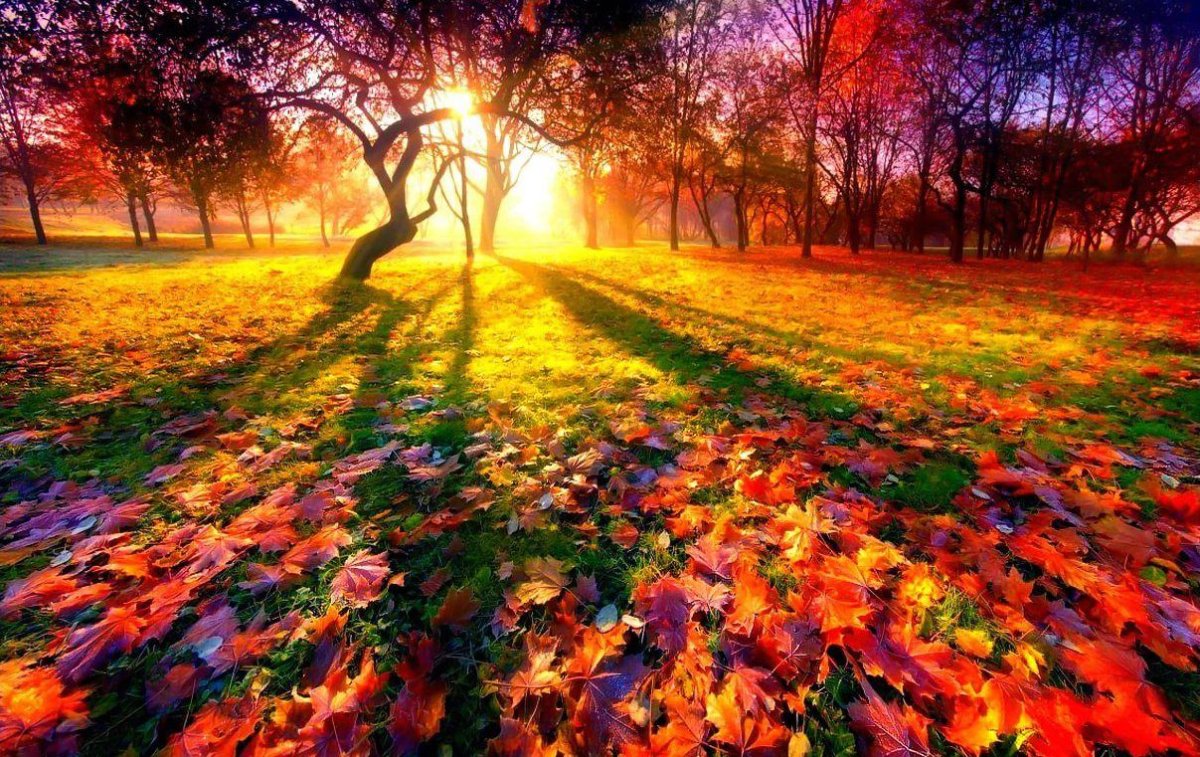 Яркая природа