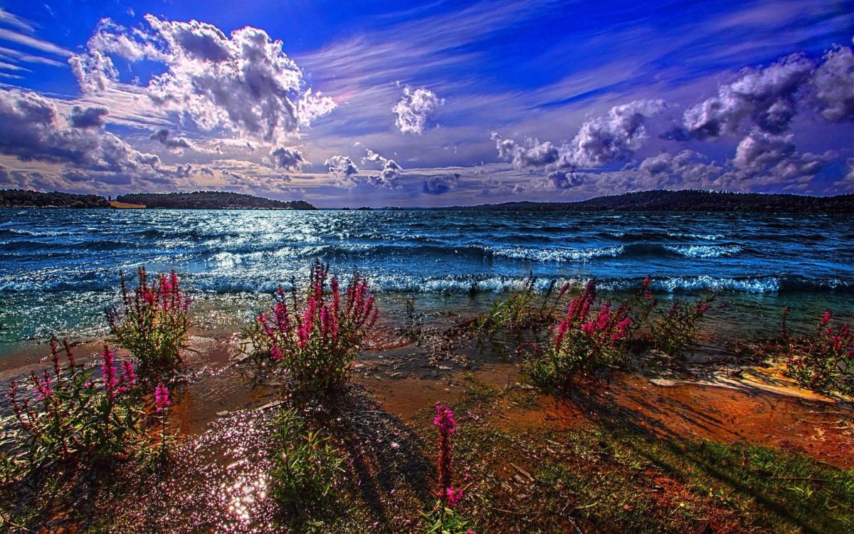 Красивое яркое море