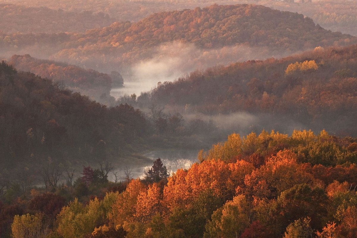 Wisconsin Fall