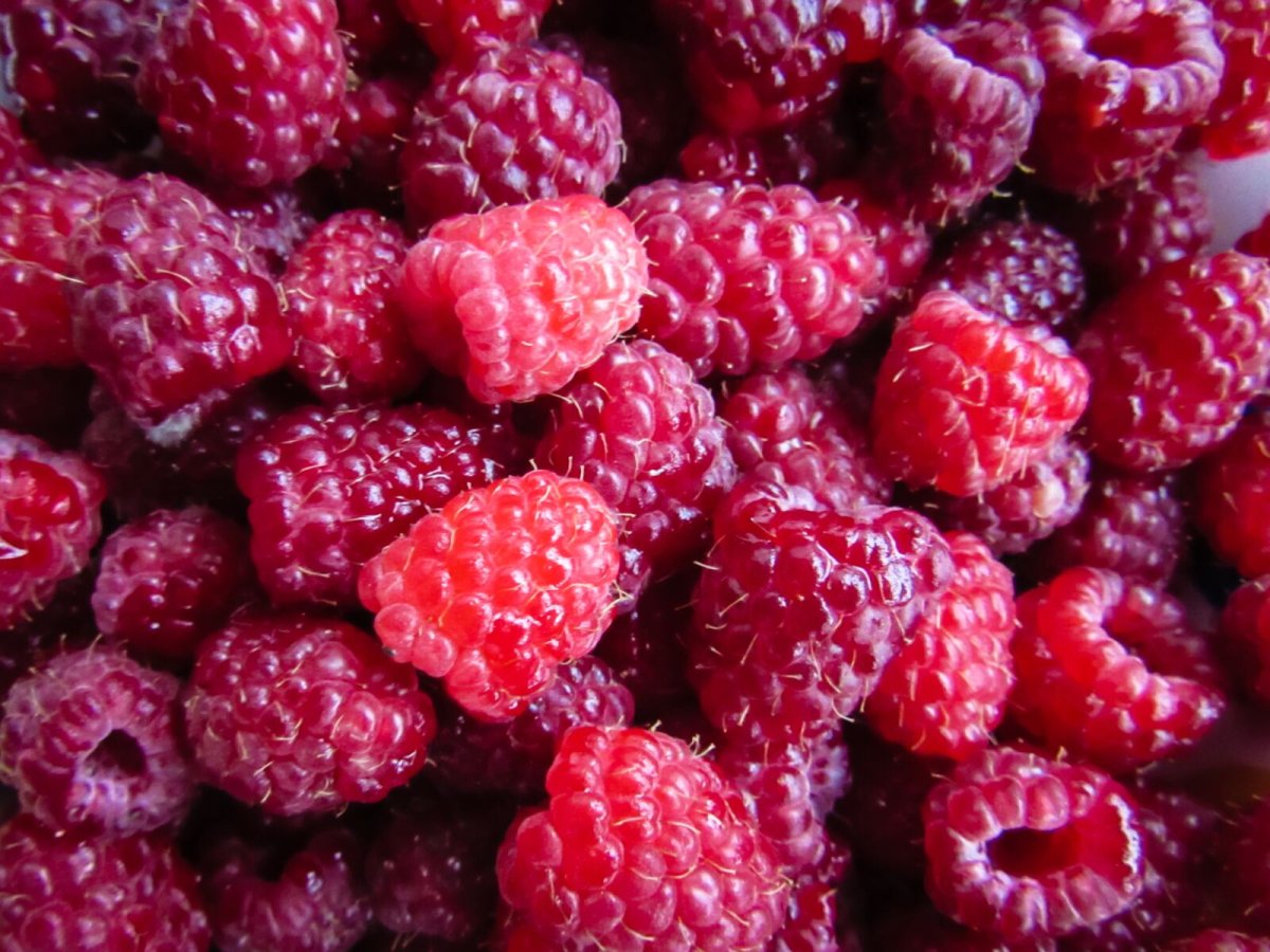 Малина Red, Midsummer