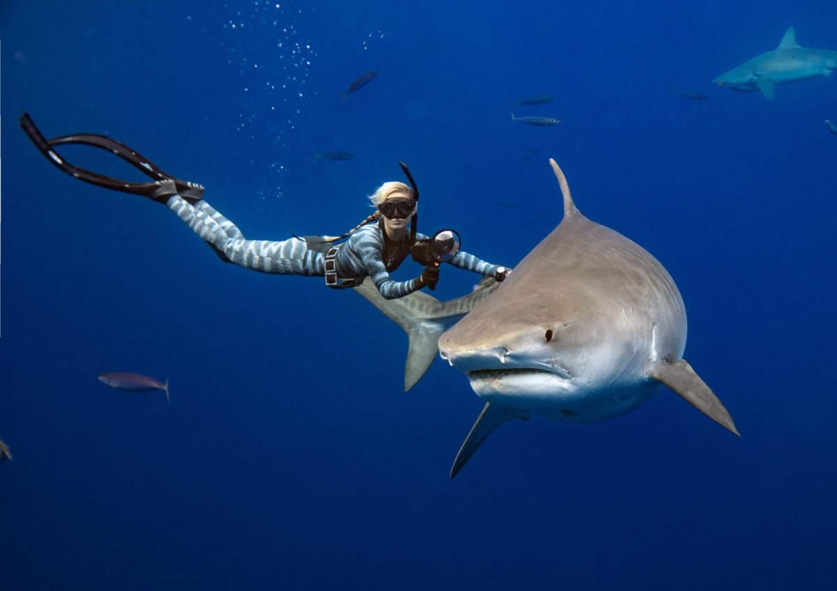Оушен Рамси (Ocean Ramsey)