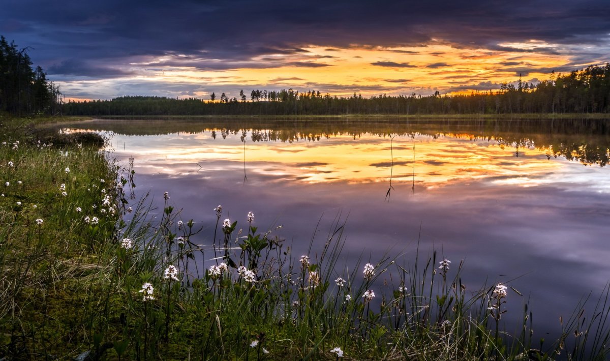 Закат на реке