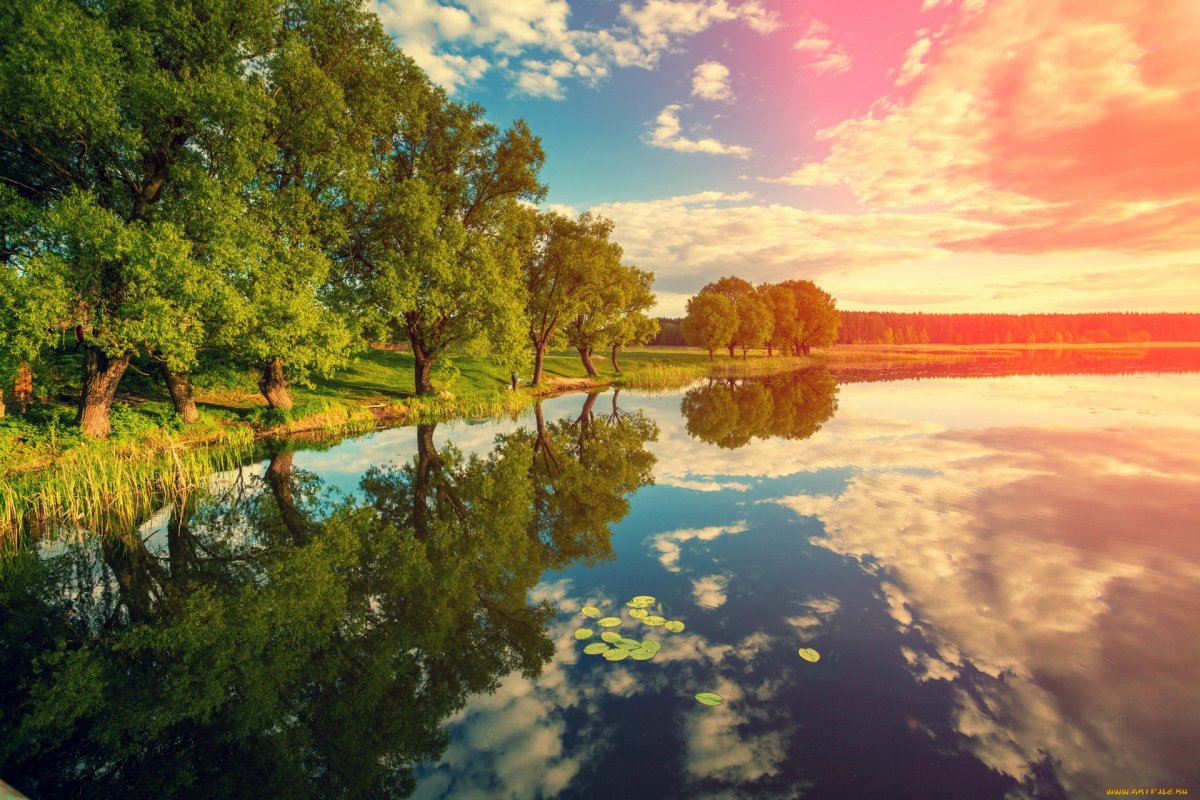Река солнце деревья
