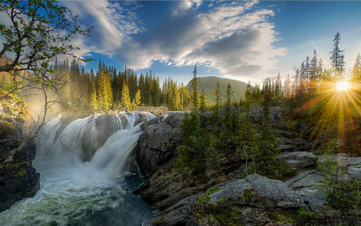 Горы лес водопад
