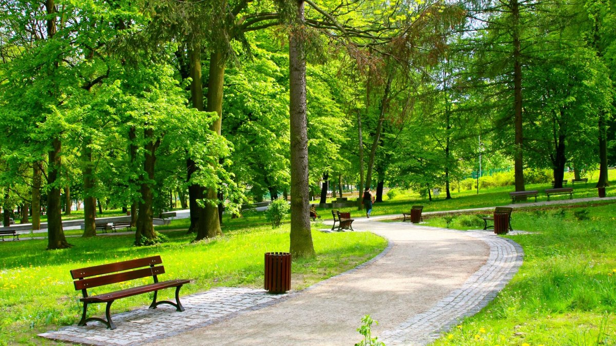 Парк «городской лесопарк».