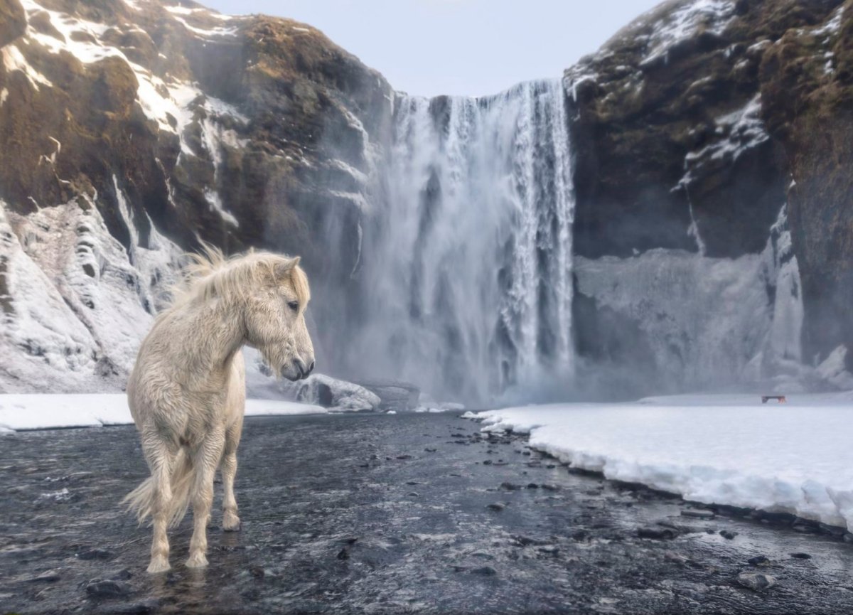 Снимок года от National Geographic 2018