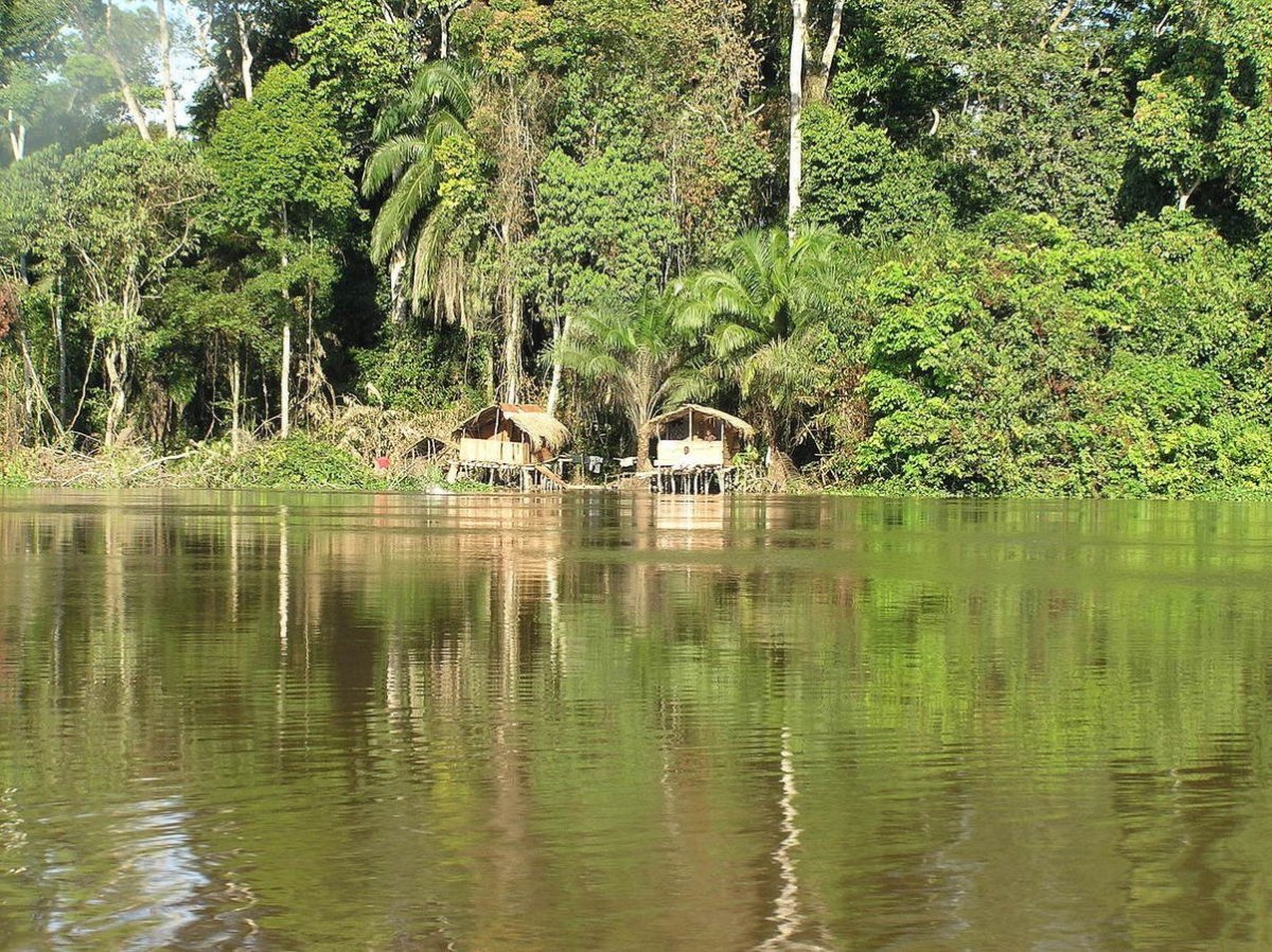 Рассказ река конго. Река Конго национальный парк Салонга. Река Луалаба. Киншаса река Конго. Бассейн реки Конго.