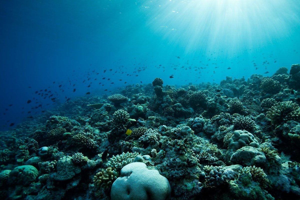 Море под водой