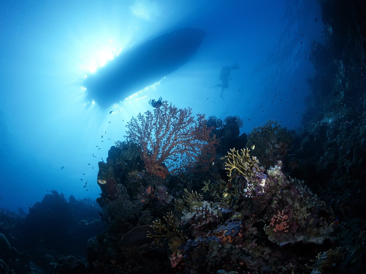 Морское дно