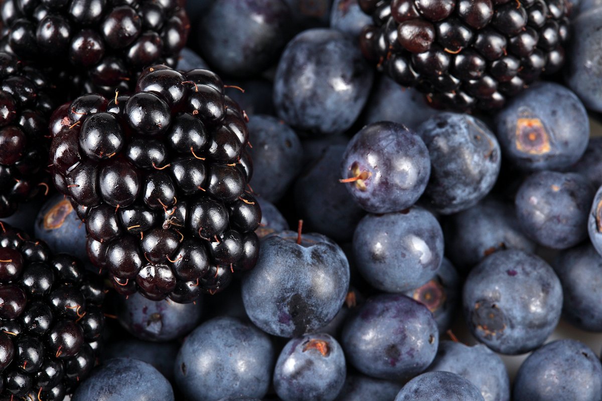 Blueberry ежевика