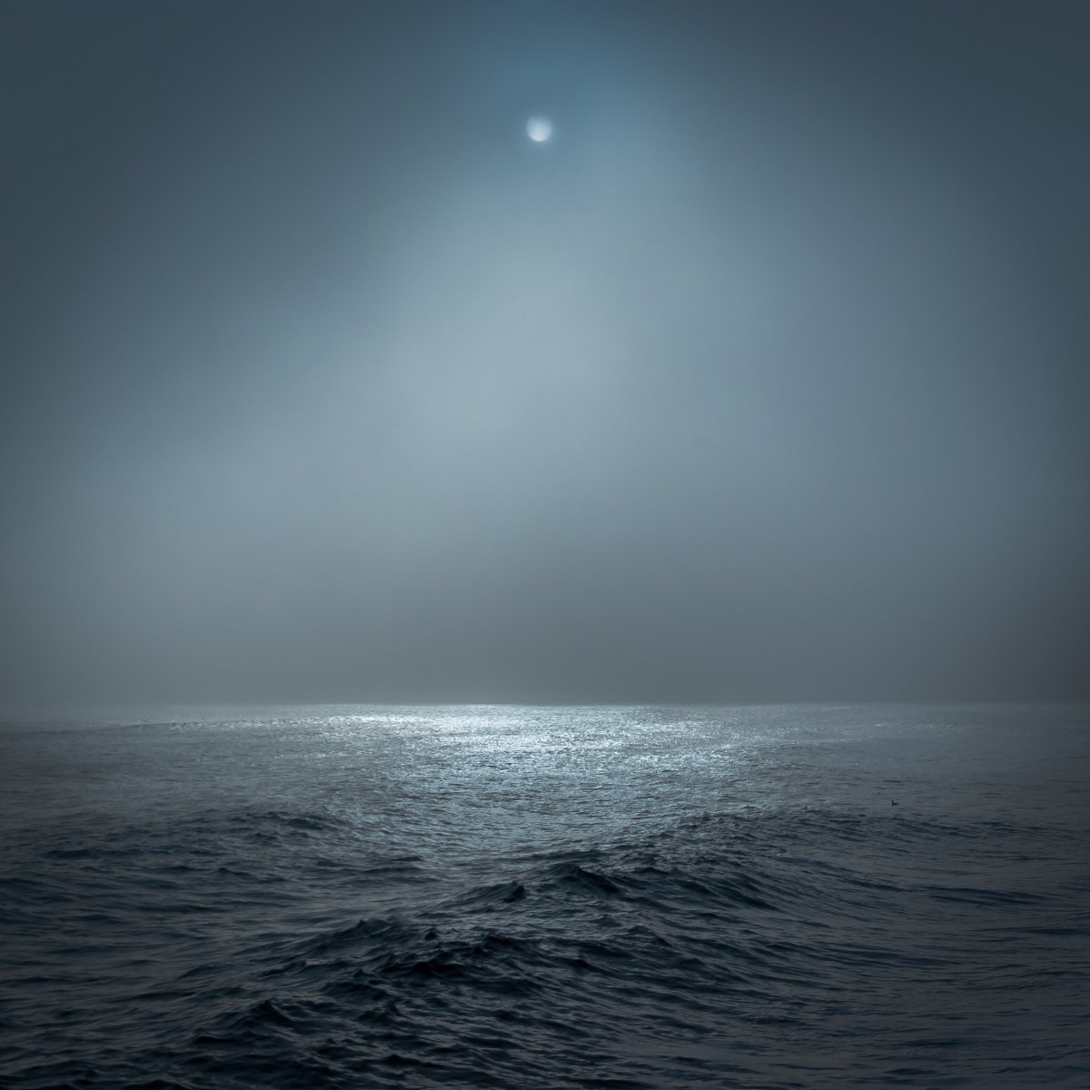 Море туман