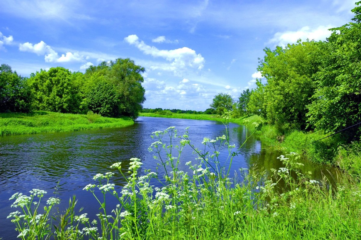 Природа река