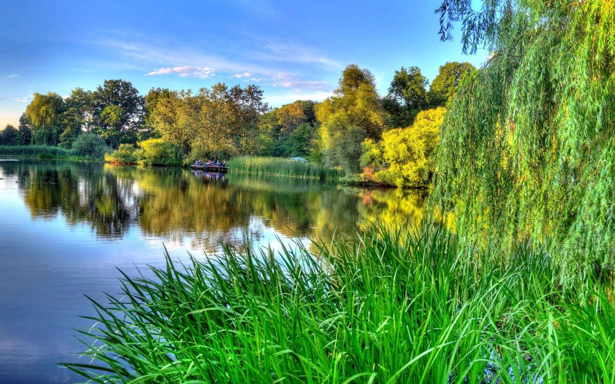 Природа река