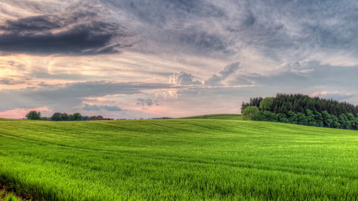 Безграничная природа