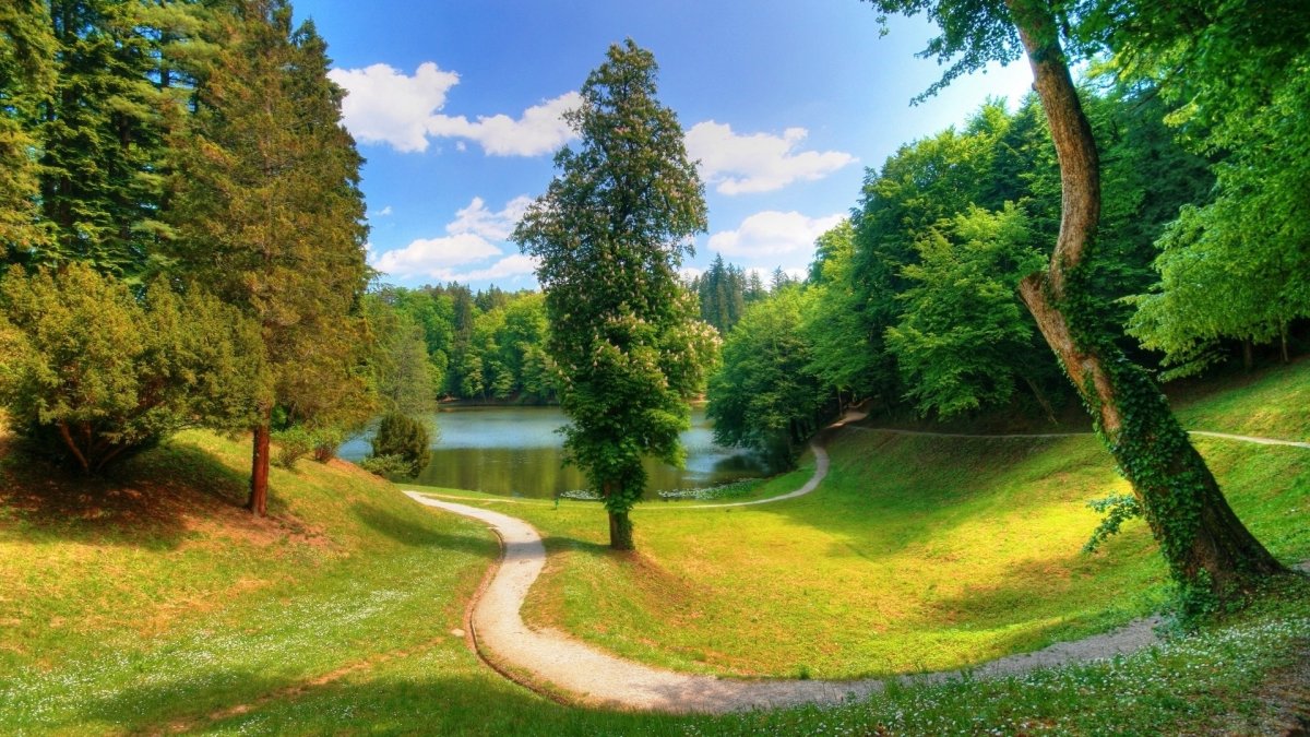 Пейзажи природы