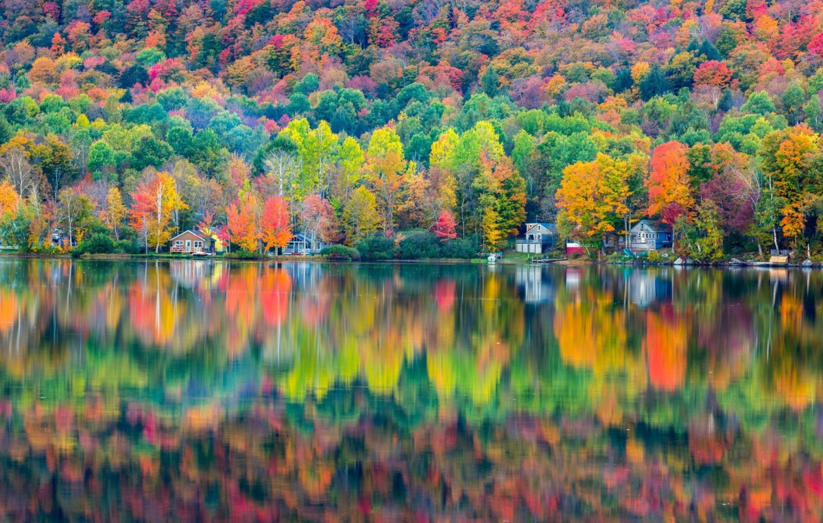 Яркая природа
