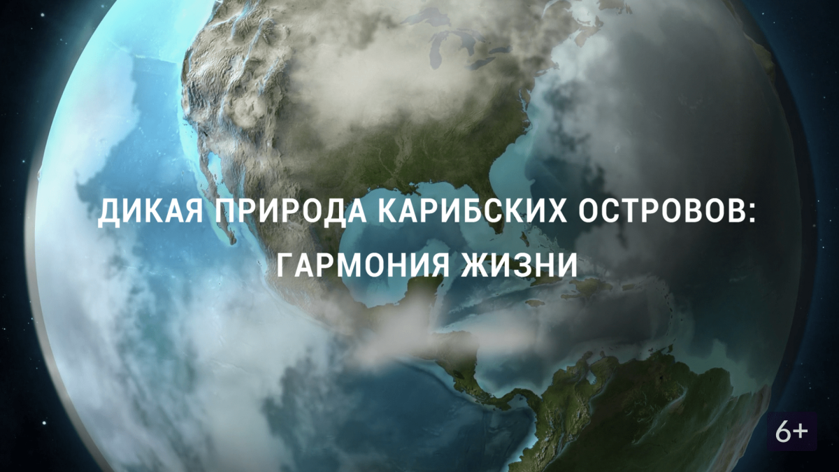 Жизнь на острове Диффуши