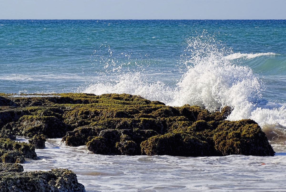 Баренцево море цвет воды