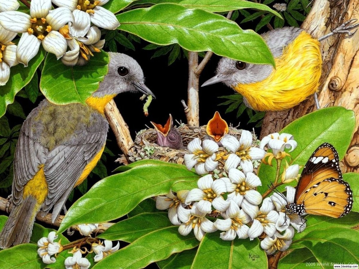 Природа птицы