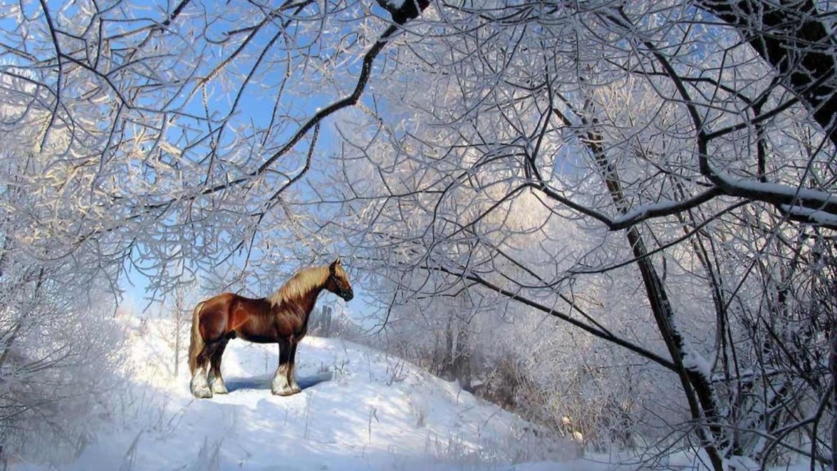 Зимний пейзаж с лошадьми