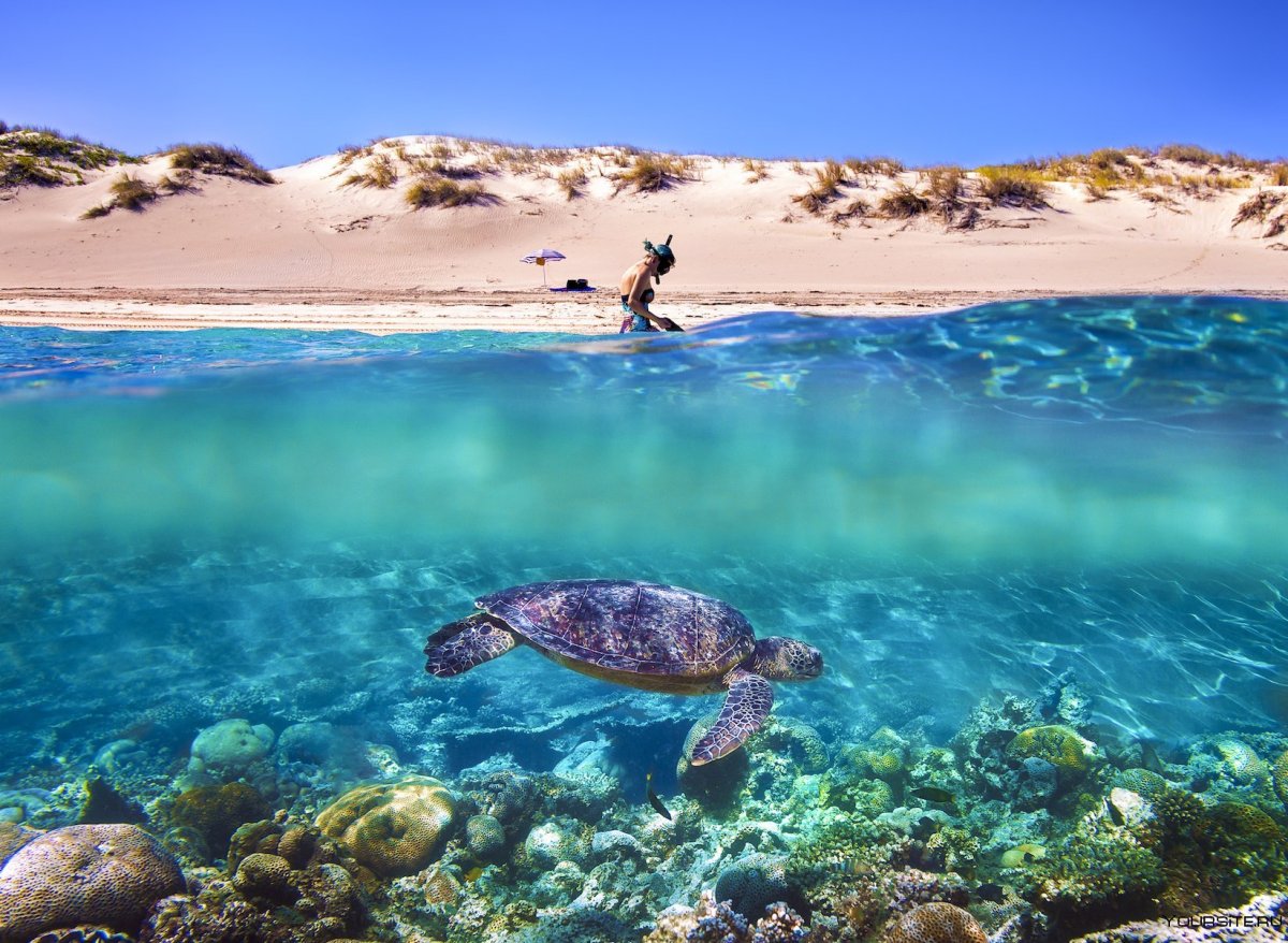 Морской парк Ningaloo Западная Австралия