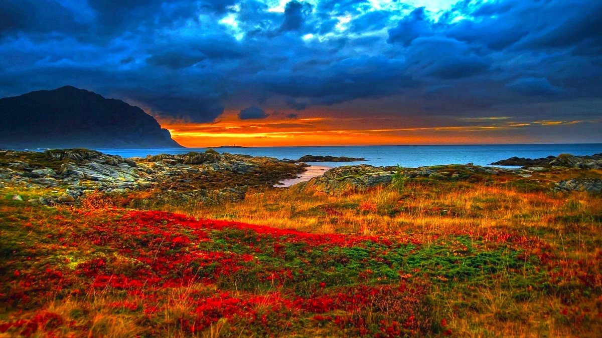 Красивая природа