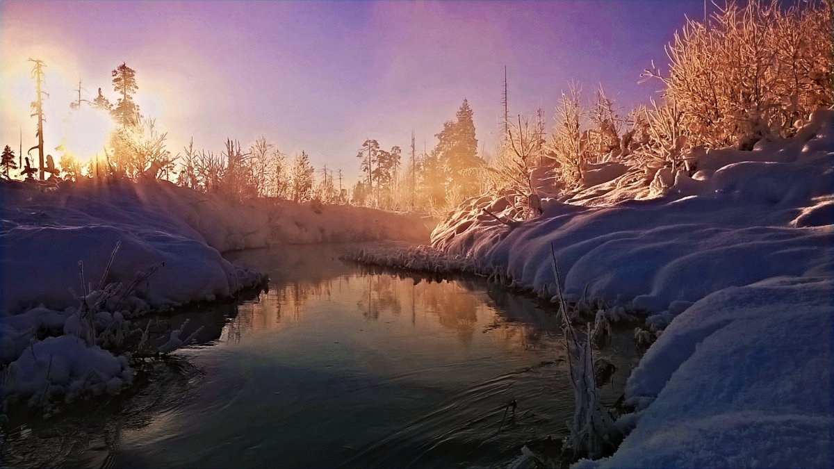 Природа севера России