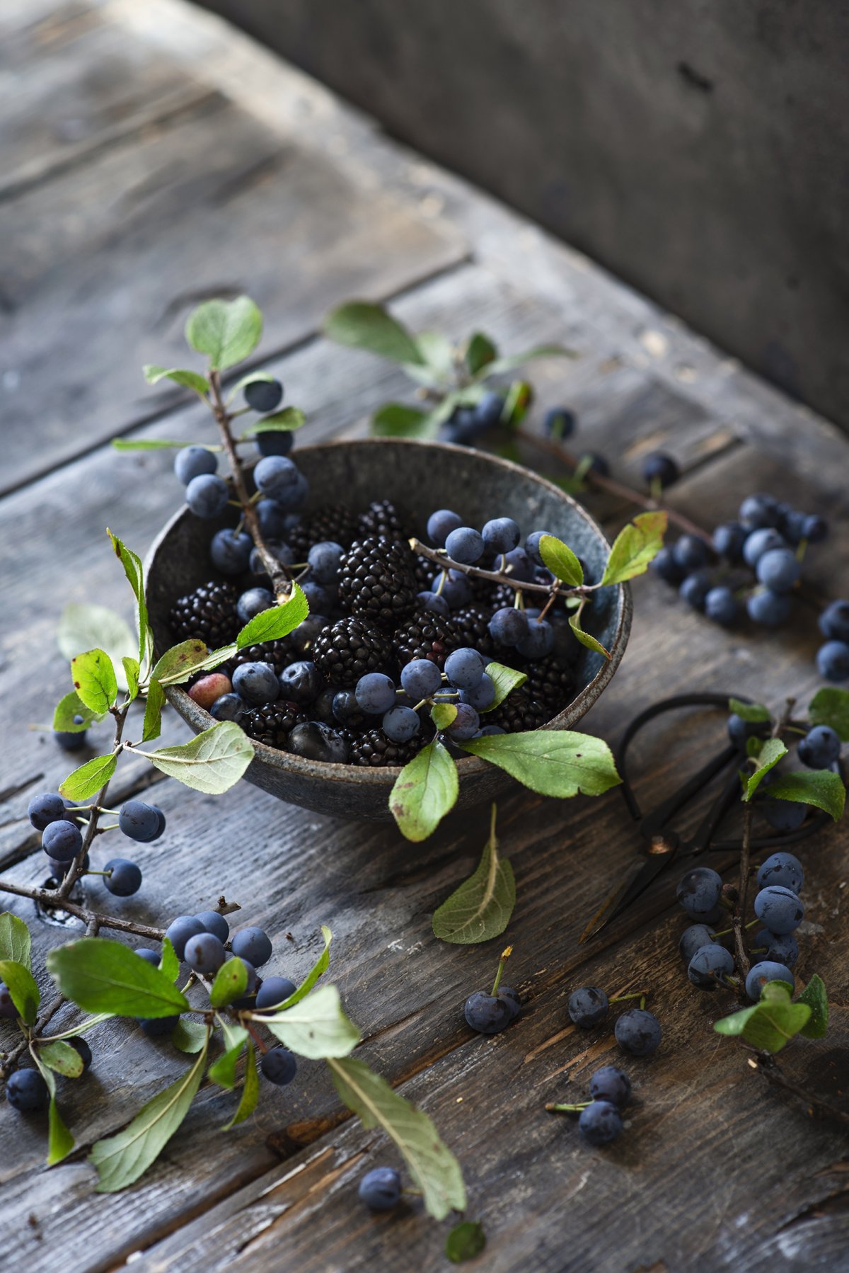 Bilberry BLACKBERRY Blueberry