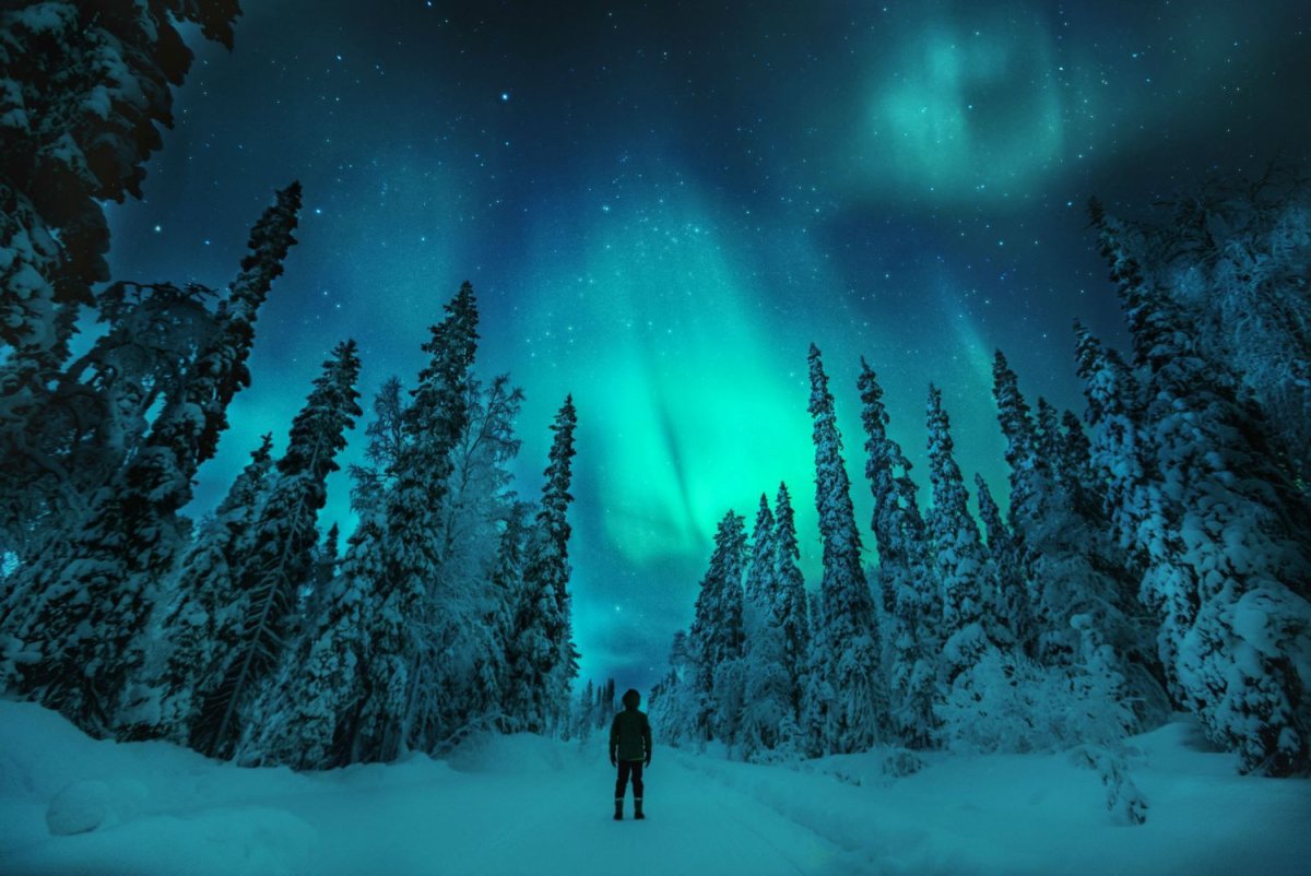 Northern Lights Lapland