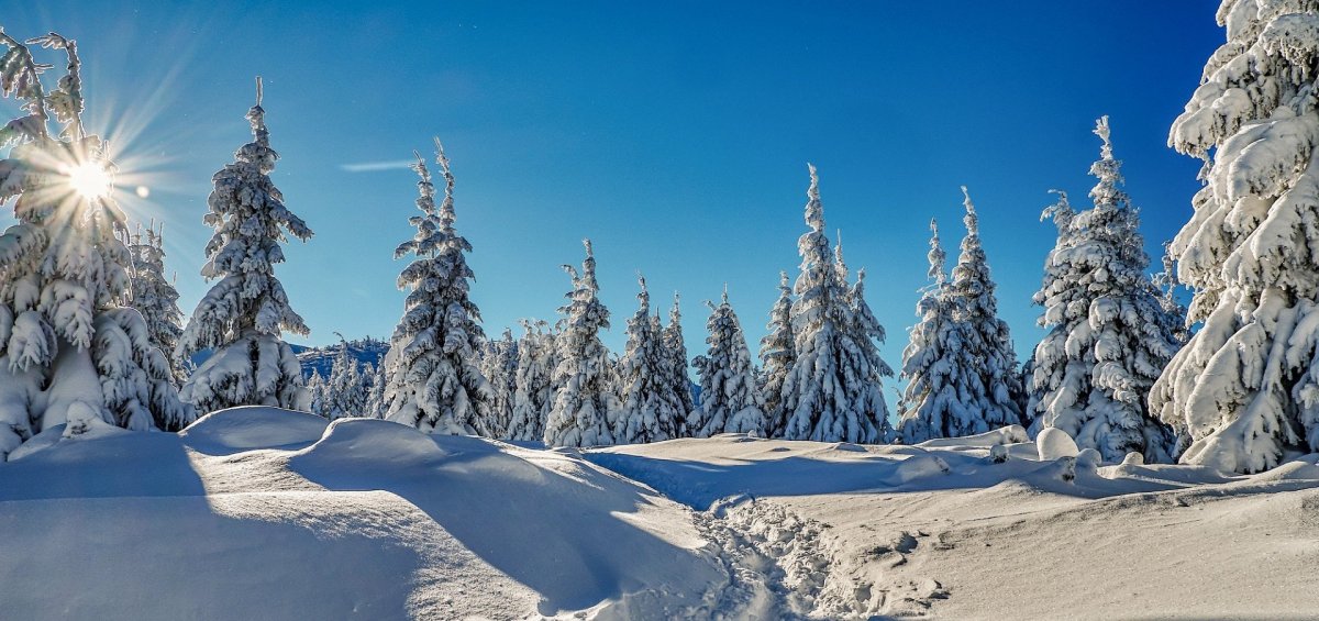 Зимний пейзаж панорама