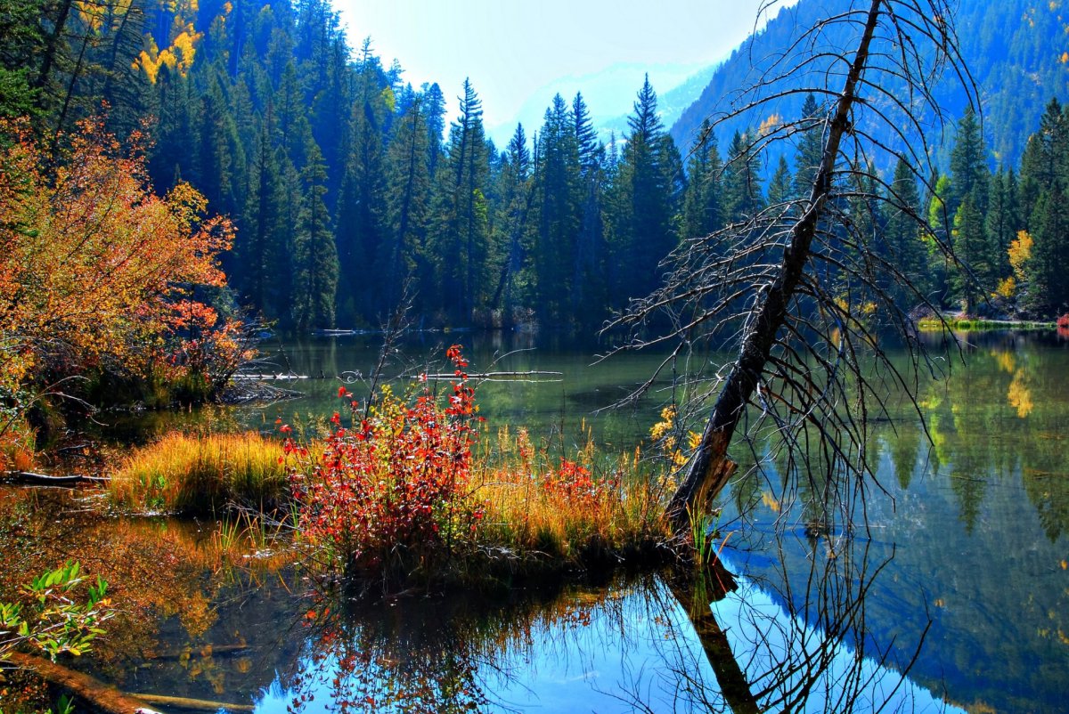Первозданная природа