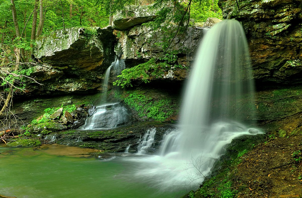 Naturaleza 1