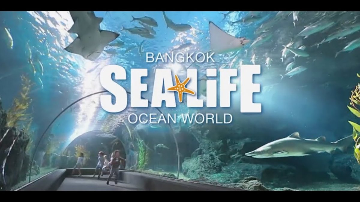 Siam Ocean World